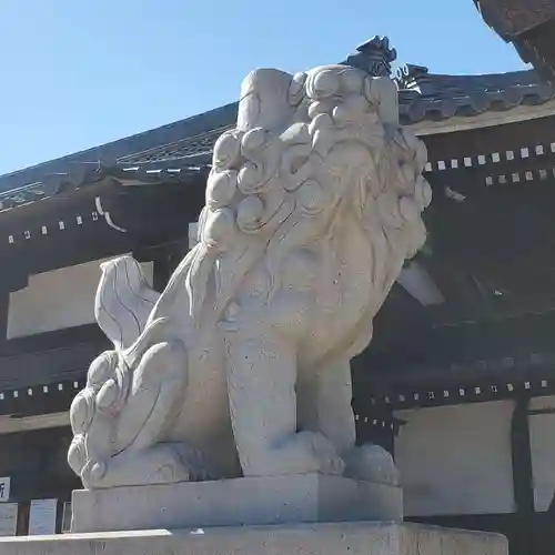 東海市熊野神社の狛犬