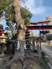 尼崎えびす神社(兵庫県)