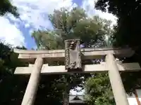 青渭神社の鳥居