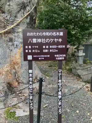 田町八雲神社の{uncategorized: "未分類", other: "その他", undefined: "問題あり", building: "その他建物", grave: "お墓", sacred_gate: "鳥居", guardian: "狛犬", statue: "像", buddha: "仏像", history: "歴史", nature: "自然", garden: "庭園", animal: "動物", pagoda: "塔", temizu: "手水舎", mountain_gate: "山門・神門", sanctuary: "本殿・本堂", subordinate: "末社・摂社", art: "芸術", scenery: "景色", jizo: "地蔵", ema: "絵馬", goshuin: "御朱印", omikuji: "おみくじ", items: "授与品その他", amulet: "お守り", goshuincho: "御朱印帳", eats: "食事", festival: "お祭り", votive_dance: "神楽", shichigosan: "七五三参", wedding: "結婚式", experience: "体験その他", initially: "初詣", around: "周辺", anti_infection: "感染症対策"}