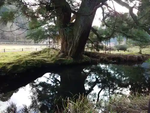 一本杉神社(島根県)