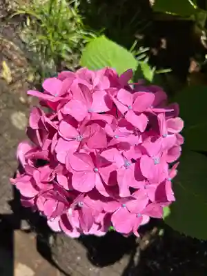 西新井大師総持寺(東京都)
