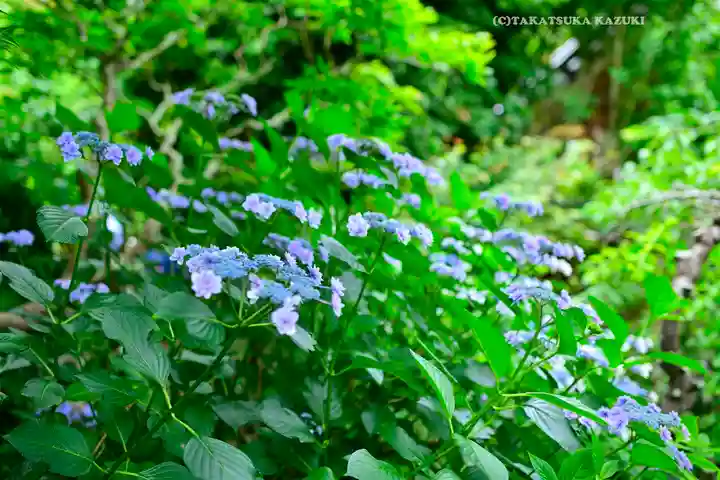 佛日庵(神奈川県)