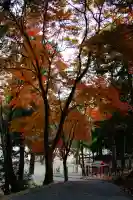 五百立神社(東大寺境内社)(奈良県)