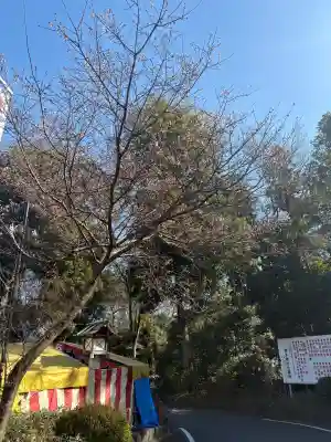 櫻木神社(千葉県)