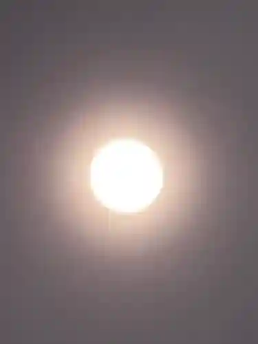 櫻木神社(千葉県)