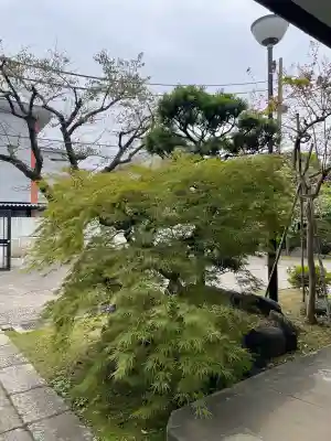 春慶院(東京都)