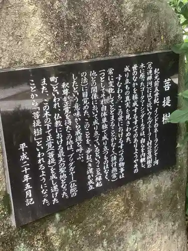 円周寺の歴史