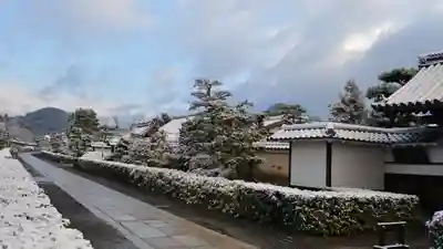 妙心寺(妙心禅寺)の周辺
