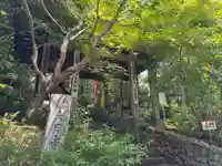 大日寺(高知県)