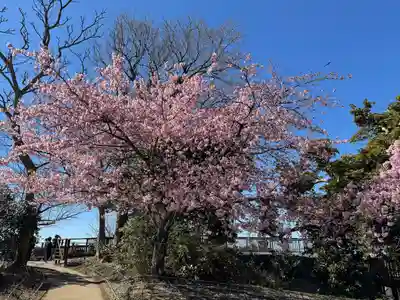 江島神社(神奈川県)