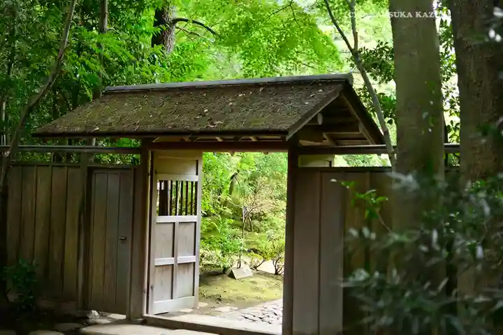 寒川神社(神奈川県)