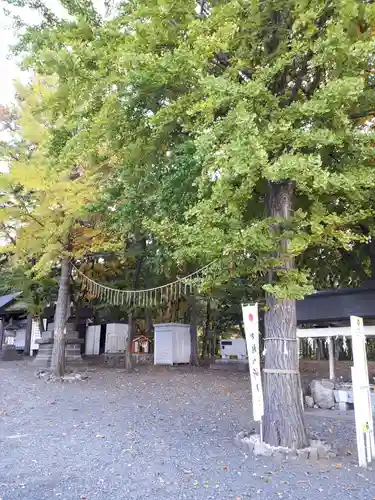 星置神社の自然