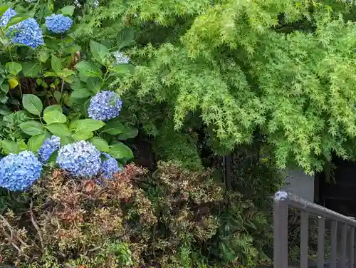 橋寺 放生院(京都府)