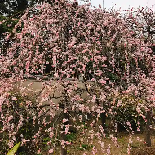 白山神社(東京都)