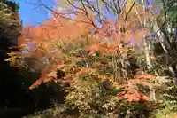 磐椅神社の自然