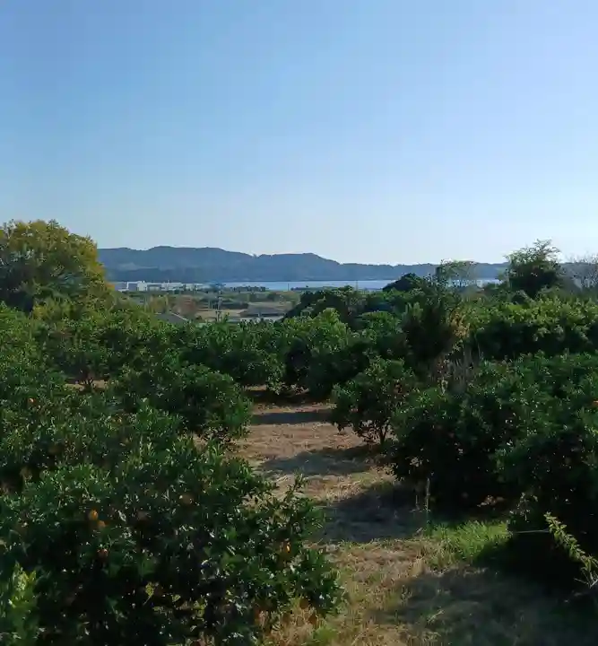 金龍寺(静岡県)