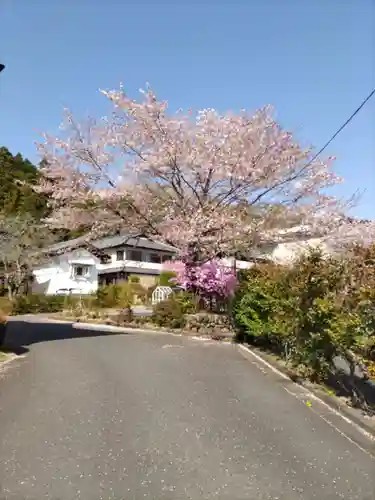 長光寺の庭園