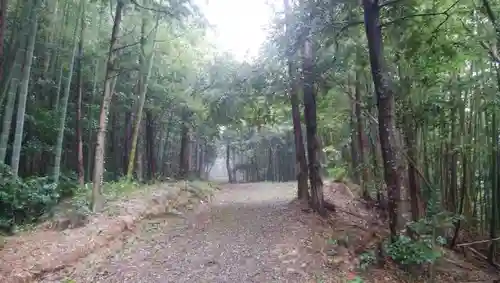 嬪野神社の建物その他