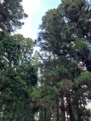 大宮温泉神社(栃木県)