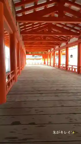 厳島神社の{uncategorized: "未分類", other: "その他", undefined: "問題あり", building: "その他建物", grave: "お墓", sacred_gate: "鳥居", guardian: "狛犬", statue: "像", buddha: "仏像", history: "歴史", nature: "自然", garden: "庭園", animal: "動物", pagoda: "塔", temizu: "手水舎", mountain_gate: "山門・神門", sanctuary: "本殿・本堂", subordinate: "末社・摂社", art: "芸術", scenery: "景色", jizo: "地蔵", ema: "絵馬", goshuin: "御朱印", omikuji: "おみくじ", items: "授与品その他", amulet: "お守り", goshuincho: "御朱印帳", eats: "食事", festival: "お祭り", votive_dance: "神楽", shichigosan: "七五三参", wedding: "結婚式", experience: "体験その他", initially: "初詣", around: "周辺", anti_infection: "感染症対策"}