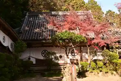 安養寺（立木観音）(滋賀県)