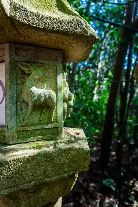 春日大社(奈良県)