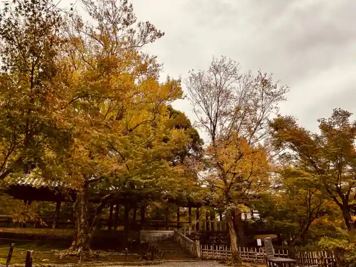 東福禅寺(東福寺)(京都府)
