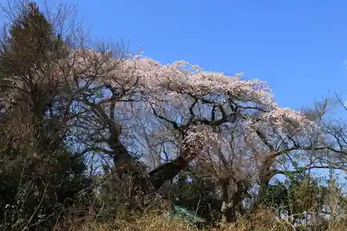 大日堂の景色