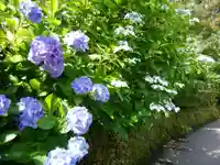 円覚寺(神奈川県)