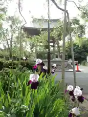 報恩寺の庭園