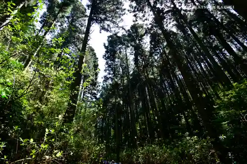 賀毗禮神宮の自然