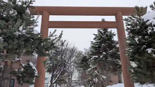 上川神社頓宮の鳥居