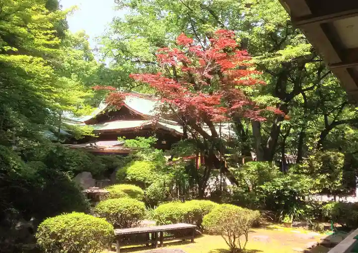 大宮八幡宮の庭園