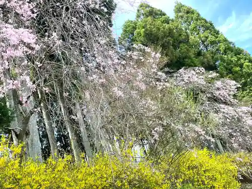 播州清水寺(兵庫県)