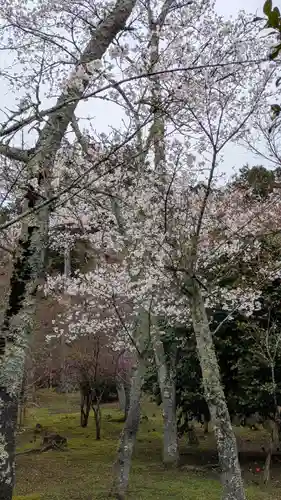 石山寺(滋賀県)