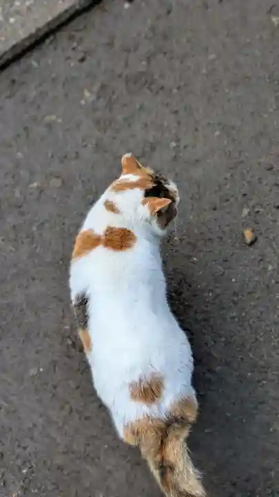 荒木神社(京都府)
