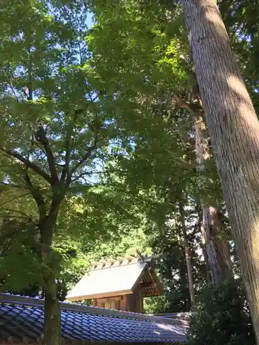 阿自賀神社の本殿・本堂