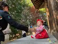 滑川神社 - 仕事と子どもの守り神の七五三参