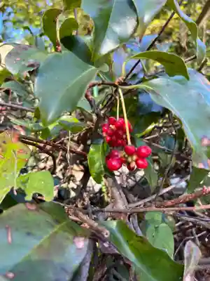 關蝉丸神社下社(滋賀県)