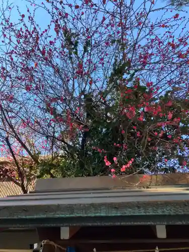 猿田彦神社(東京都)