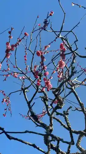 瑞泉寺の{uncategorized: "未分類", other: "その他", undefined: "問題あり", building: "その他建物", grave: "お墓", sacred_gate: "鳥居", guardian: "狛犬", statue: "像", buddha: "仏像", history: "歴史", nature: "自然", garden: "庭園", animal: "動物", pagoda: "塔", temizu: "手水舎", mountain_gate: "山門・神門", sanctuary: "本殿・本堂", subordinate: "末社・摂社", art: "芸術", scenery: "景色", jizo: "地蔵", ema: "絵馬", goshuin: "御朱印", omikuji: "おみくじ", items: "授与品その他", amulet: "お守り", goshuincho: "御朱印帳", eats: "食事", festival: "お祭り", votive_dance: "神楽", shichigosan: "七五三参", wedding: "結婚式", experience: "体験その他", initially: "初詣", around: "周辺", anti_infection: "感染症対策"}