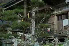 白山媛神社(新潟県)