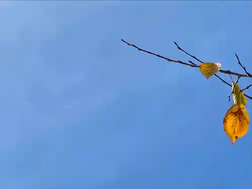 眞田神社(長野県)