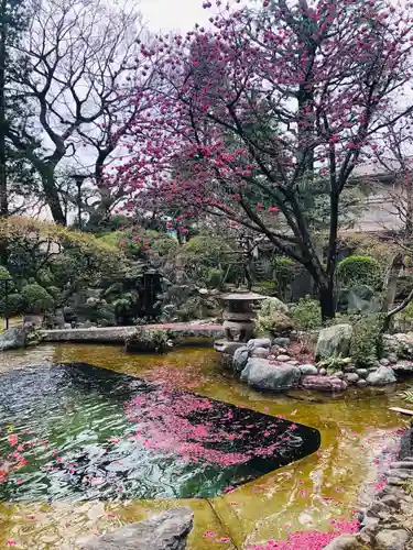 感通寺の庭園