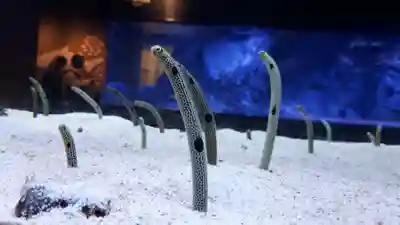 押上天祖神社の周辺