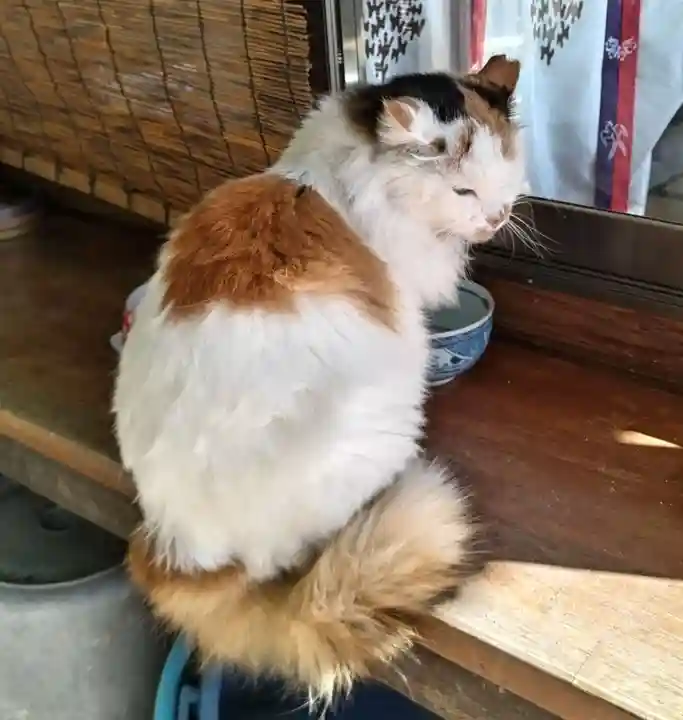 阿邪訶根神社(福島県)