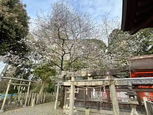 積川神社(大阪府)
