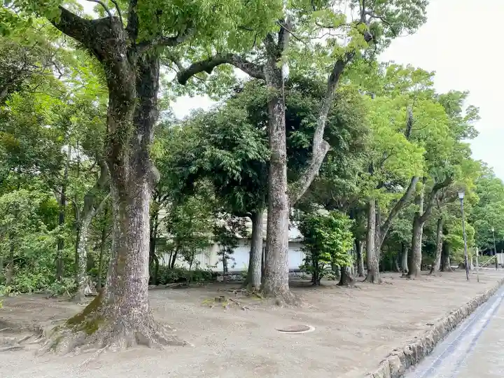 白旗神社の自然