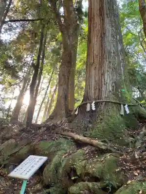 貴船神社(京都府)